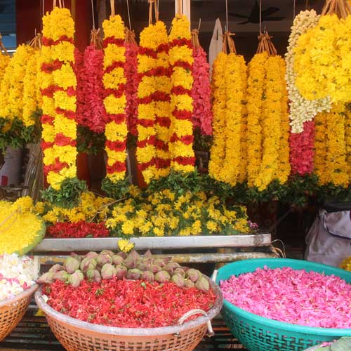 flowers for sale in Kerala